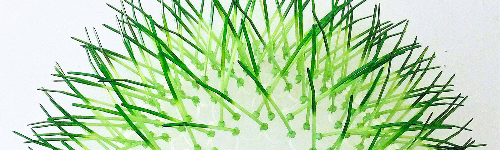 How to be creative with cable ties