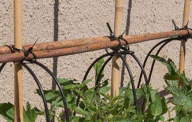 cable ties in gardening