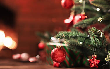 Christmas 2023 – Opening and delivery dates